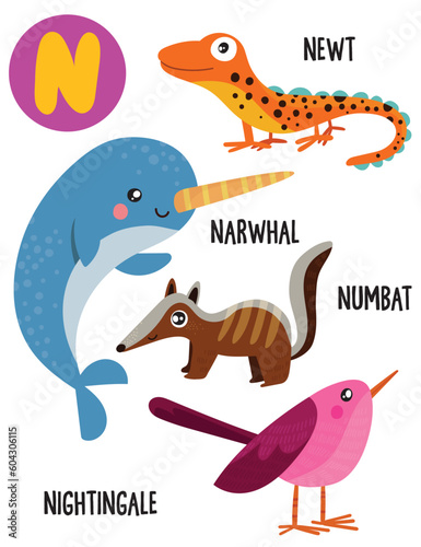 English alphabet with cute animals vector illustrations set. Funny cartoon animals: newt, narwhal, numbat, nightingale. Alphabet design in a colorful style.