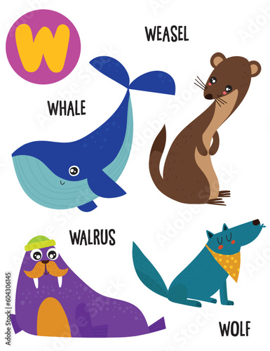English alphabet with cute animals vector illustrations set. Funny cartoon animals: weasel, whale, wolf, walrus. Alphabet design in a colorful style.