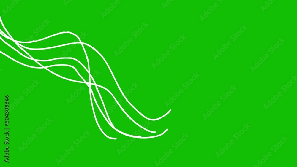 White lines animation on green screen 4k stock video footage. White lines animation on green screen 4k stock video footage.