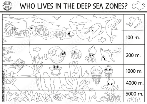 Vector black and white under the sea landscape illustration. Ocean life line scene poster with animals. Educational water nature background or coloring age. Who lives in the deep sea zone.