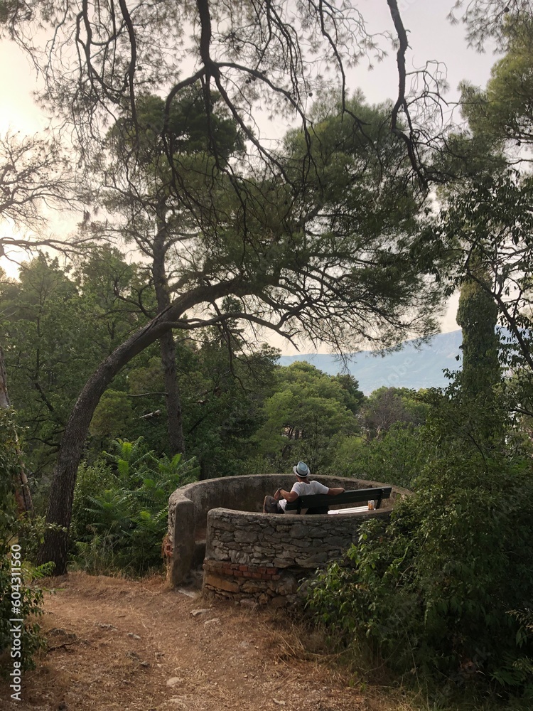 Obraz premium person in the forest