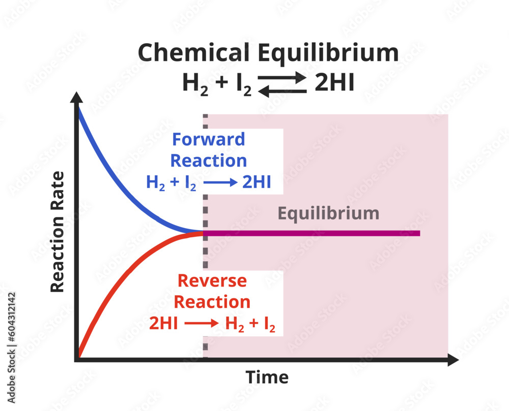 Vector Scientific Graph Or Chart Of Chemical Equilibrium Forward