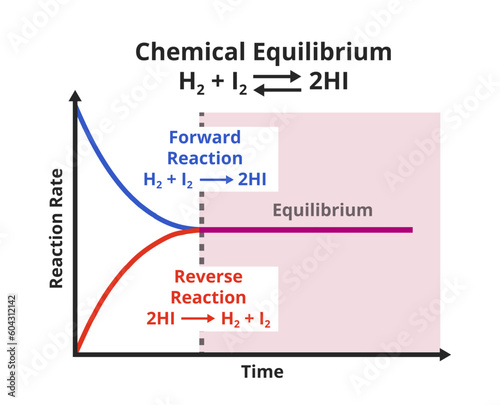 Vector scientific graph or chart of chemical equilibrium – forward reaction and reverse or backward reaction isolated on white. The rate of the forward reaction is equal to the reverse reaction.