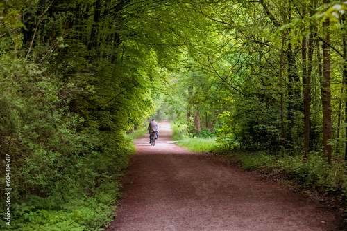 A lonely cyclist on a forest path under trees in Siebenbrunn near Augsburg