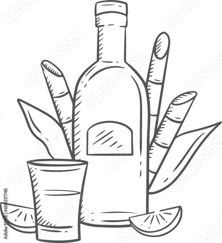 bottle of wine and glass. Bottle of tequila and glass. Vector illustration in sketch style
