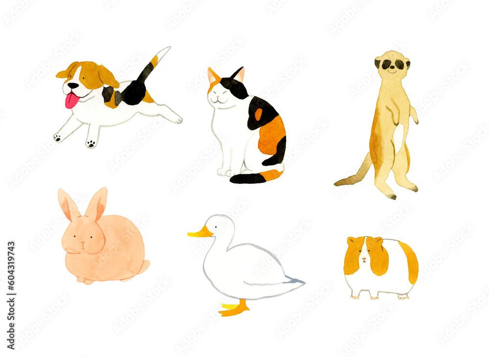 かわいい・ゆるい動物の手描き水彩イラスト素材集(ビーグル犬、三毛猫、うさぎ、アヒル、モルモット、ミーアキャット) かわいい・ゆるい動物の手描き水彩イラスト素材集(ビーグル犬、三毛猫、うさぎ、アヒル、モルモット、ミーアキャット)