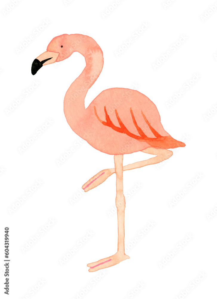 Fototapeta premium フラミンゴ かわいい・ゆるい動物の手描き水彩イラスト素材