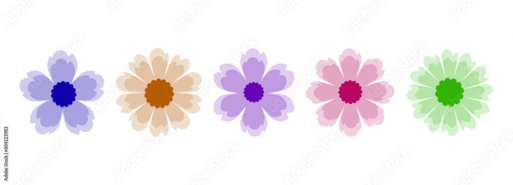 Collection of flowers in various colors – Set of flowers with translucent petals