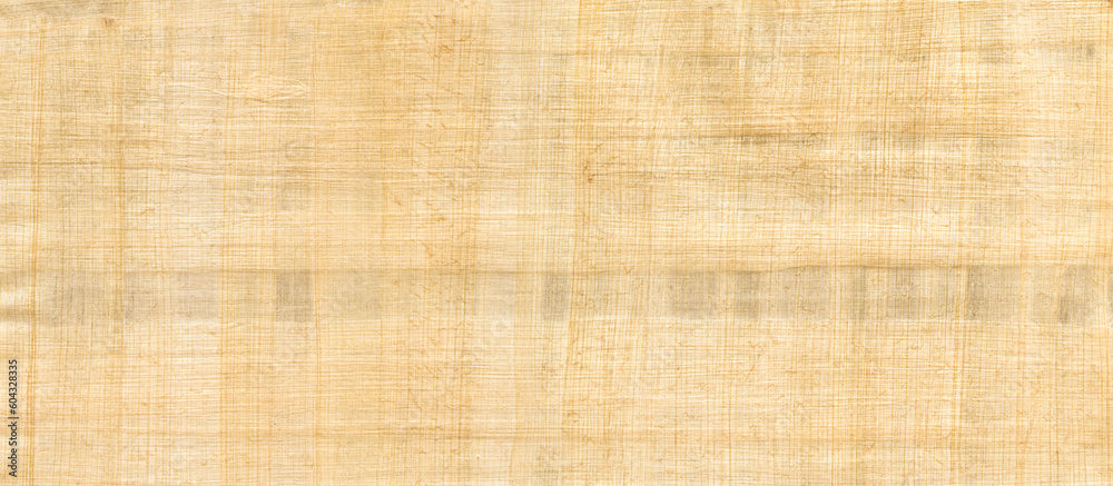 Fototapeta premium Old papyrus background texture. Banner wallpaper