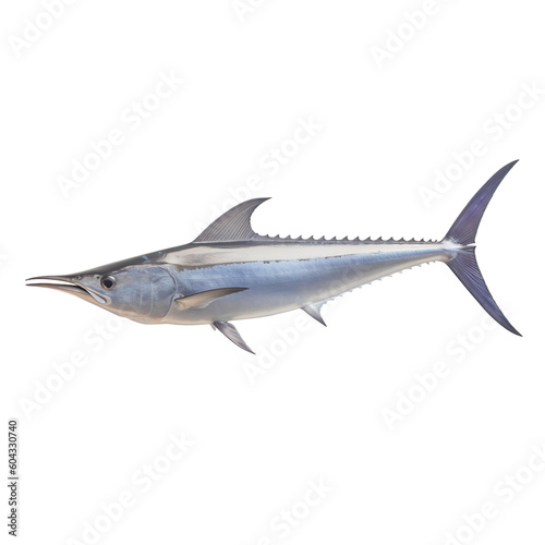 side view of Swordfish fish isolated on a transparent background, Generative ai © SuperPixel Inc