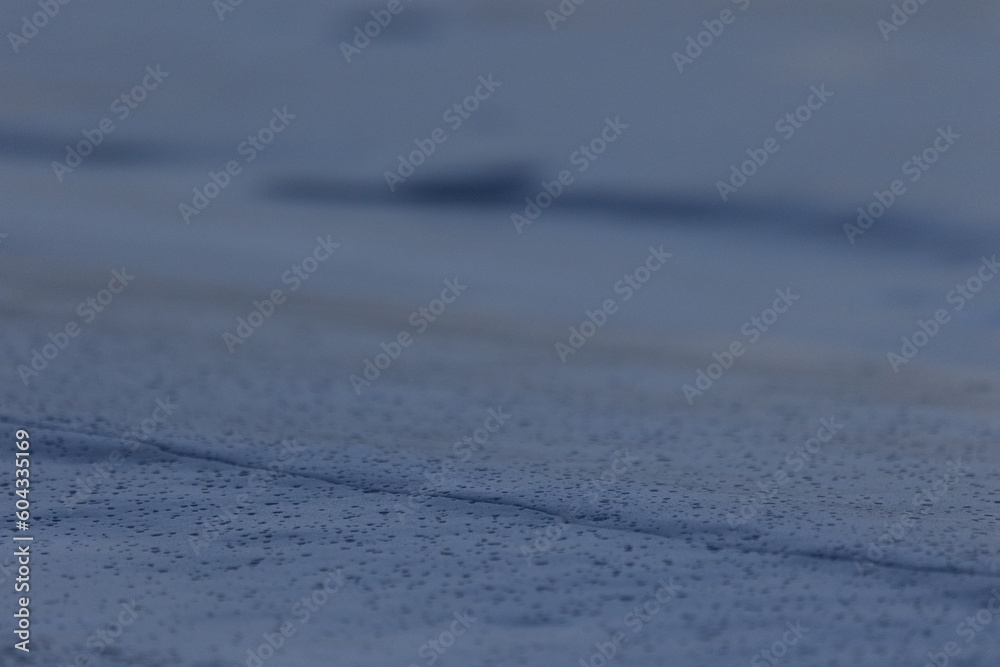 Frozen Serenity: Winter's Icy Embrace on the River in Northern Europe Frozen Serenity: Winter's Icy Embrace on the River in Northern Europe
