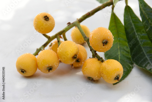 Closeup of ripe loquats, small branch with fruit on white marble stone background. Eriobotrya japonica. Bright orange-yellow fruit of Japanese medlar, Malta plum, harvest in sunny organic garden. Gree