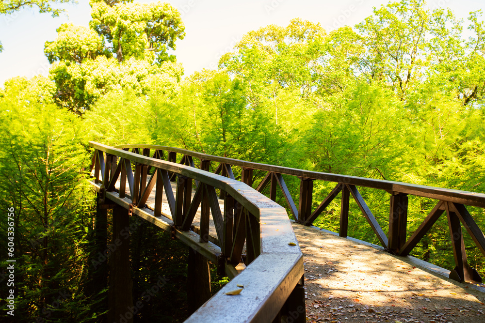 Public park, Urban oasis, Recreational area Public park, Urban oasis, Recreational area