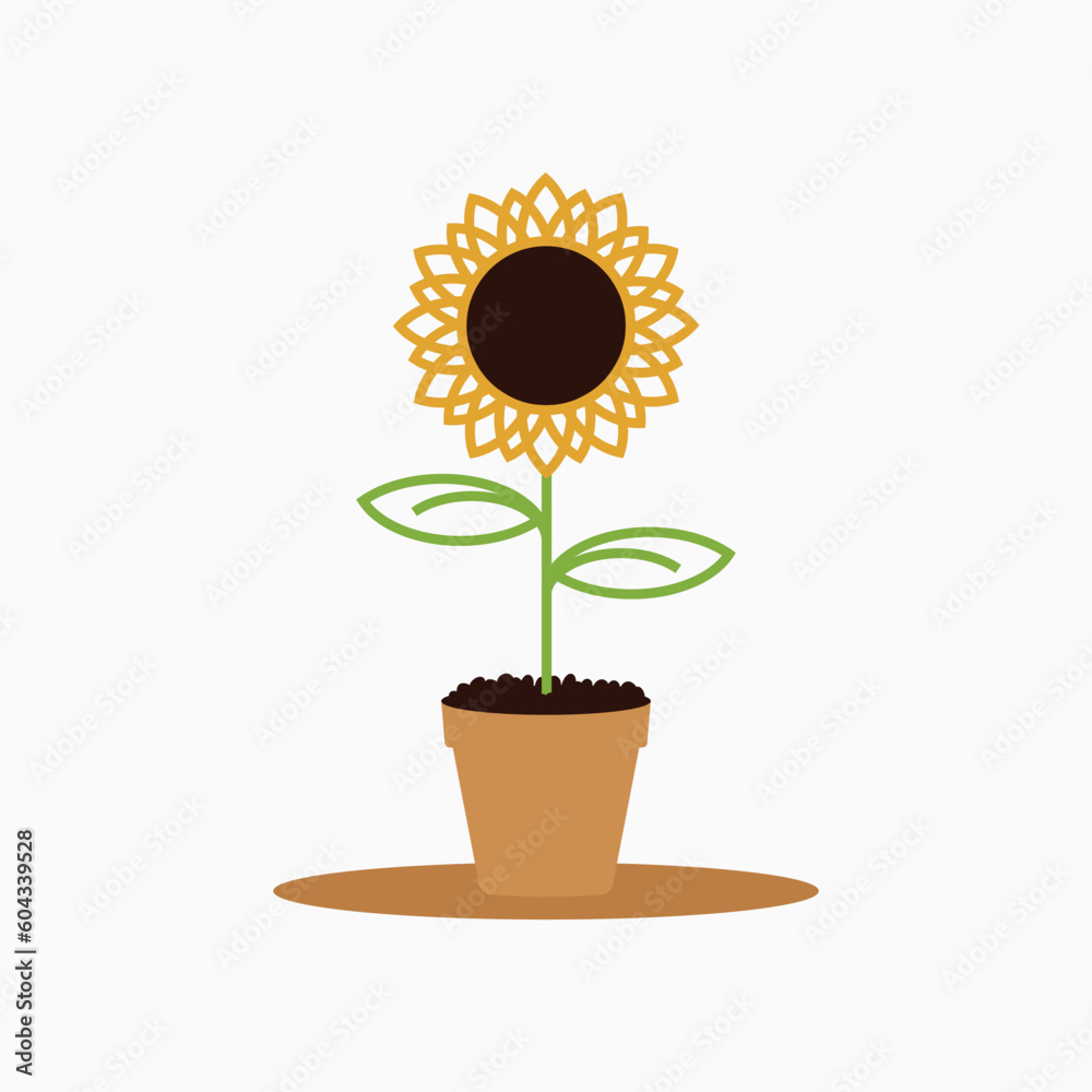 Obraz premium sunflower in pot, design vector template