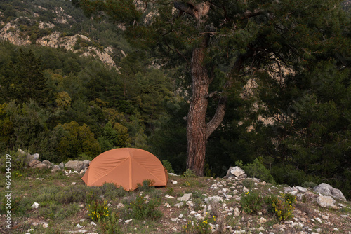 Tent on flat rock under large pine tree in mountainous area with dense forest, Lycian Way, Turkey