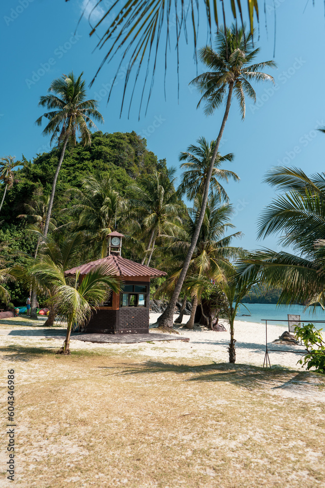 Fototapeta premium Monkey in koh samui thailand. ang thong national park