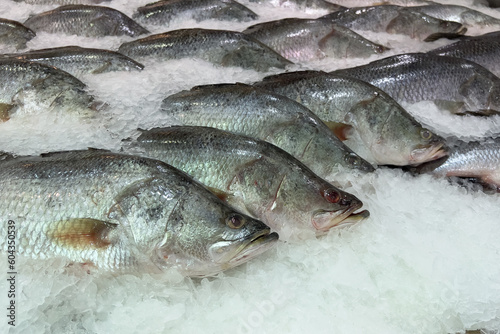 fresh fish on ice in the market