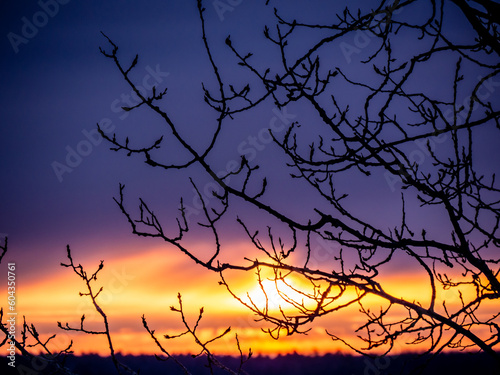 Close-up of the silhouette of bare tree branches on a cold morning in March with a dramatic sunrise in the background.