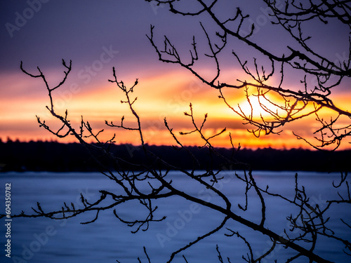 Close-up of the silhouette of bare tree branches on a cold morning in March with a dramatic sunrise in the background. © Jennifer Seeman
