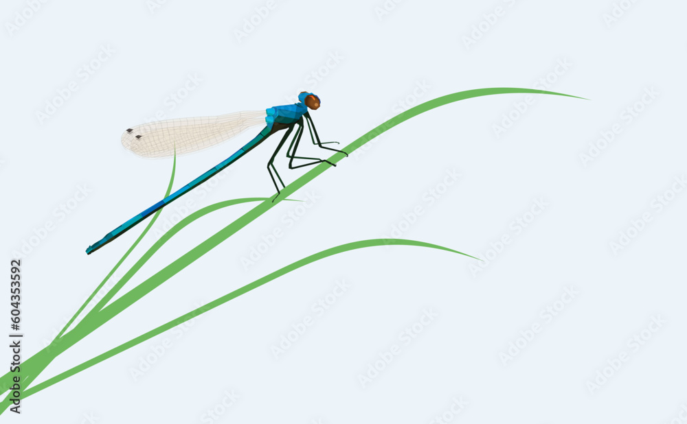 Φωτογραφία Vector illustration of a beautiful dragonfly sittting in the grass in a meadow,Close-up of damselfly on plant