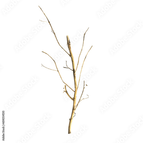 3d illustration of dry grass isolated on transparent background top view