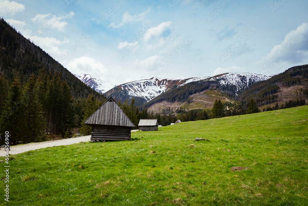 Polish Tatras view from the Chocholowska Valley