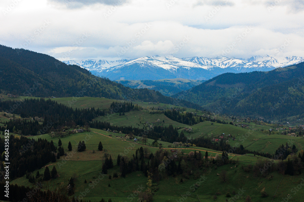 Mountain peaks in the snow in summer. Panorama of the countryside against the background of snow-capped mountains. mountain landscape, the tops of the mountains are covered with snow