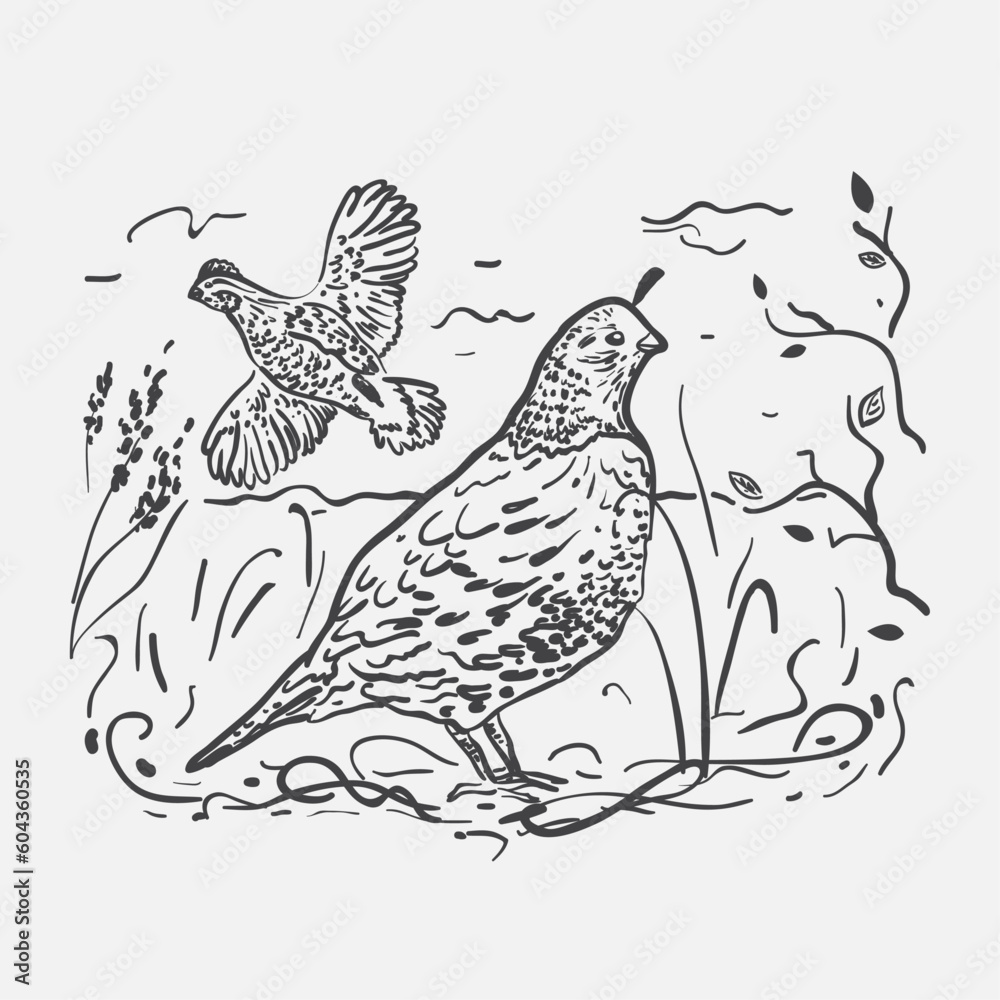 Fototapeta premium Quail in the forest in vector.