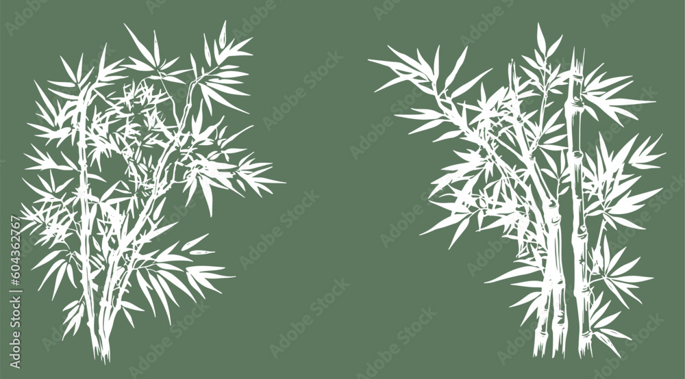 Fototapeta premium Bamboo tree, Hand drawn style. Vector. 