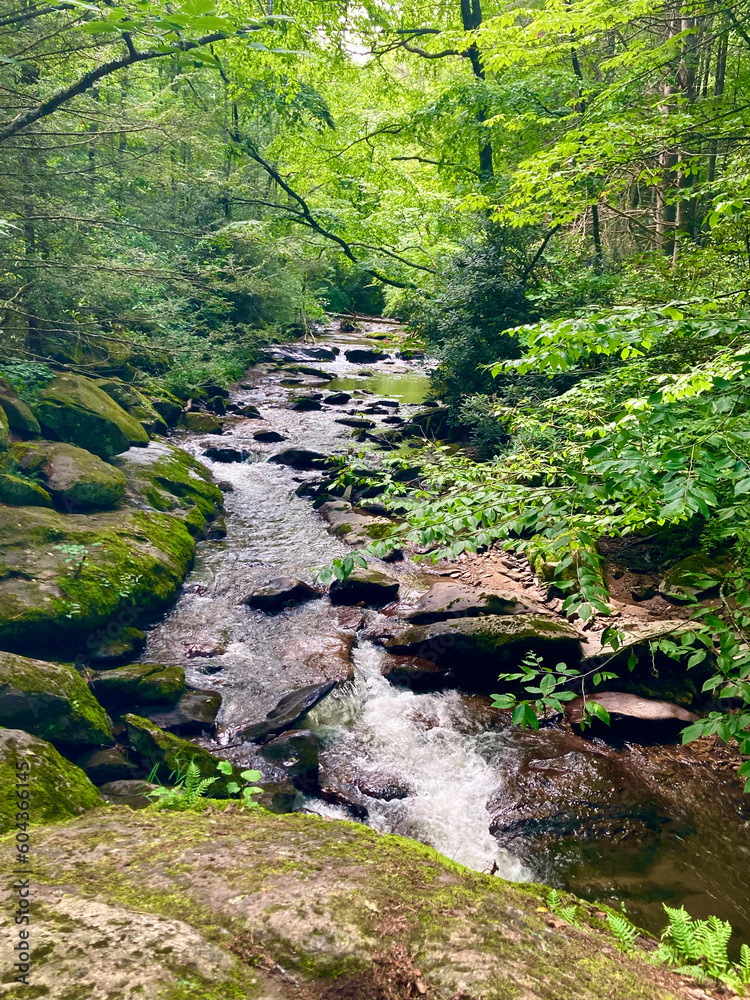 Heading down the Creeper. Heading down the Creeper.