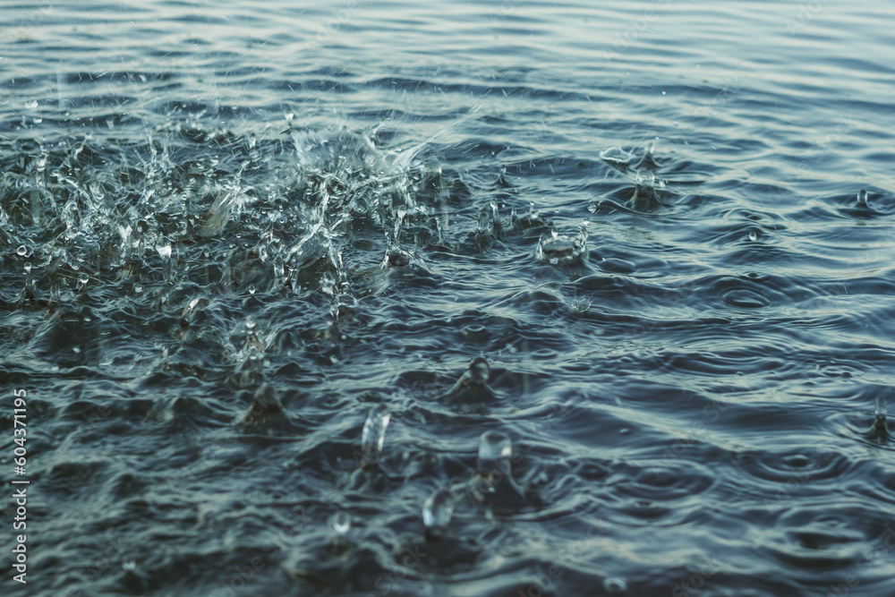 The surface of the water is perturbed by the drops of rain. Splashes on the water. Abstract background.