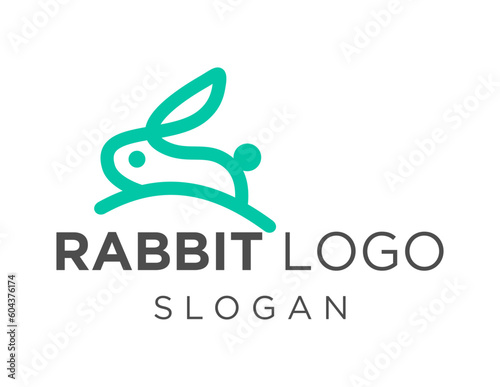 Logo design about Rabbit on a white background. made using the CorelDraw application.