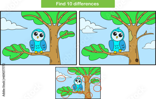 Find the difference in cute owl pictures. Education of preschoolers. Finnd 10 differences. Children s game. Learn logic. Learn with fun. Children s play. 