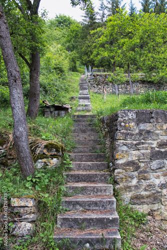 Mauern und Treppe am Rand eines Weinbergs