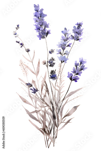 lavender pressed dried flowers in the style of watercolor on a white background - 2 3