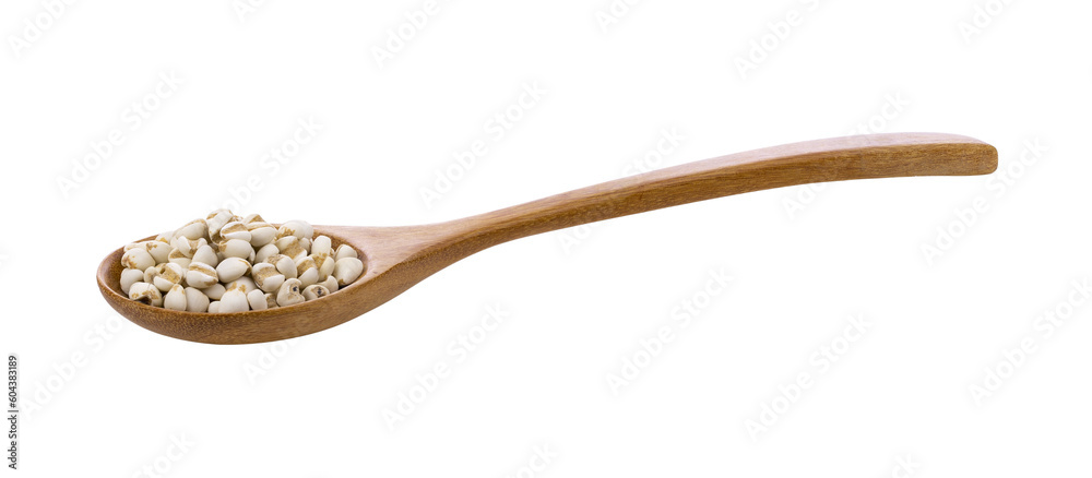 Pile of Job's tears ( Adlay millet) in wood spoon on transparent png Pile of Job's tears ( Adlay millet) in wood spoon on transparent png