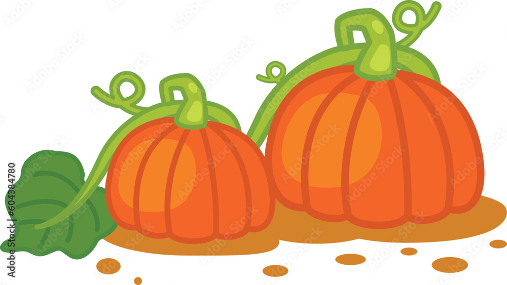 pumpkin on white background illustration pumpkin on white background illustration