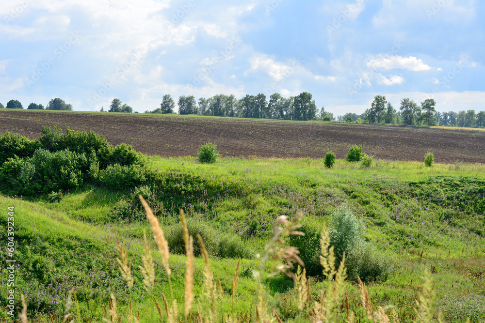 A plowed field with a green hill in the foreground and cloudy sky, copy space 