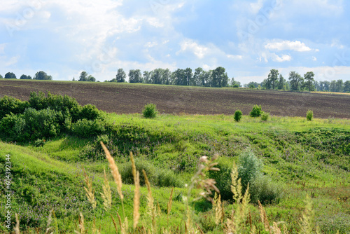 A plowed field with a green hill in the foreground and cloudy sky, copy space 