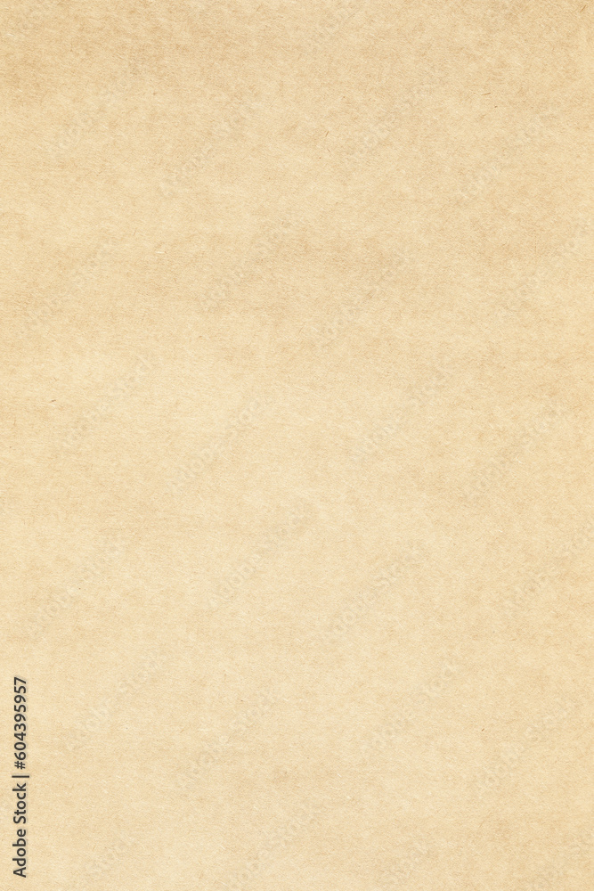 Vertical brown kraft paper background with grainy texture Vertical brown kraft paper background with grainy texture