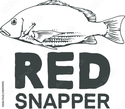 illustration of red snapper fish