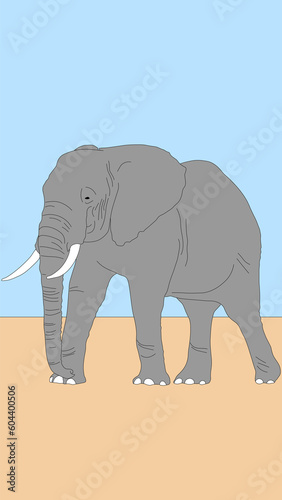 Vector Line Drawing Elephant. File format  AI and PNG