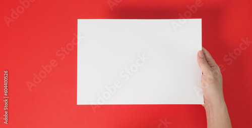 Onehand is holding blank white A4 paper on red background. photo