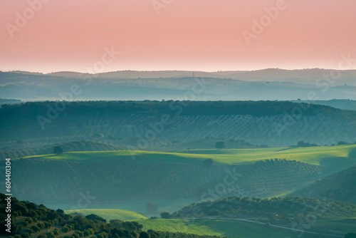 Fototapeta Naklejka Na Ścianę i Meble -  Andalusian agricultural landscape at sunrise with green hills of olive trees