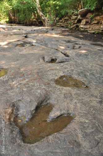 Footprint of dinosaur on stone with water and natural light at Phu Faek, national park of Thailand