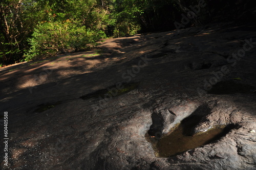 Footprint of dinosaur on stone with water and side lighting at Phu Faek, national park of Thailand, low key style