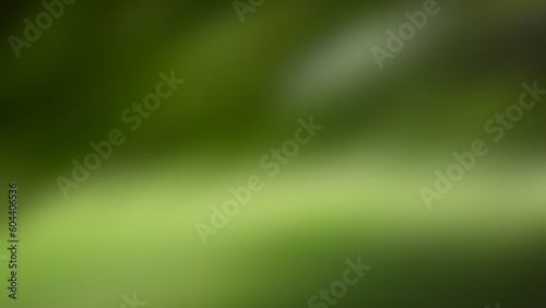 Abstract blurred background, green and light spots.