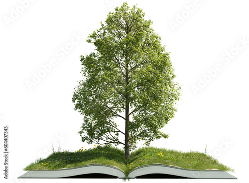 PNG fantastic tree on open book with green grass field, 3D illustrations rendering