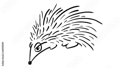 Porcupine in black and white, hand drawing, vector image for stock