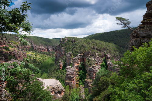Vista panorámica del barranco de la Hoz, en el parque natural del Alto Tajo, Guadalajara, Castilla la Mancha, España. photo